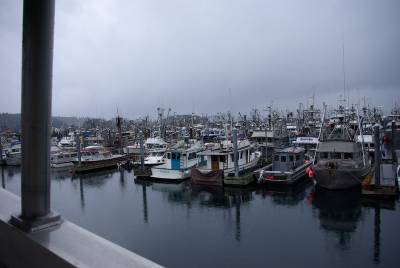 Le port de pche de Kodiak